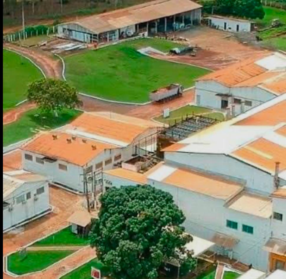 Funcionários do Frigorífico LKJ em Araguaína Protestam por Salários e 13º Atrasados